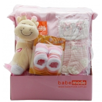 Baby Gift Basket Pink